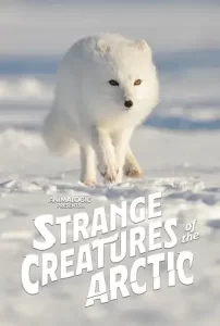 Strange Creatures of the Arctic (2022)