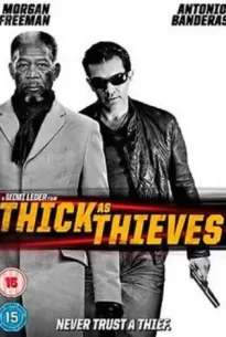 Thick as Thieves (2009)