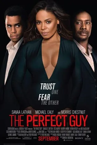 The Perfect Guy (2015) 4k